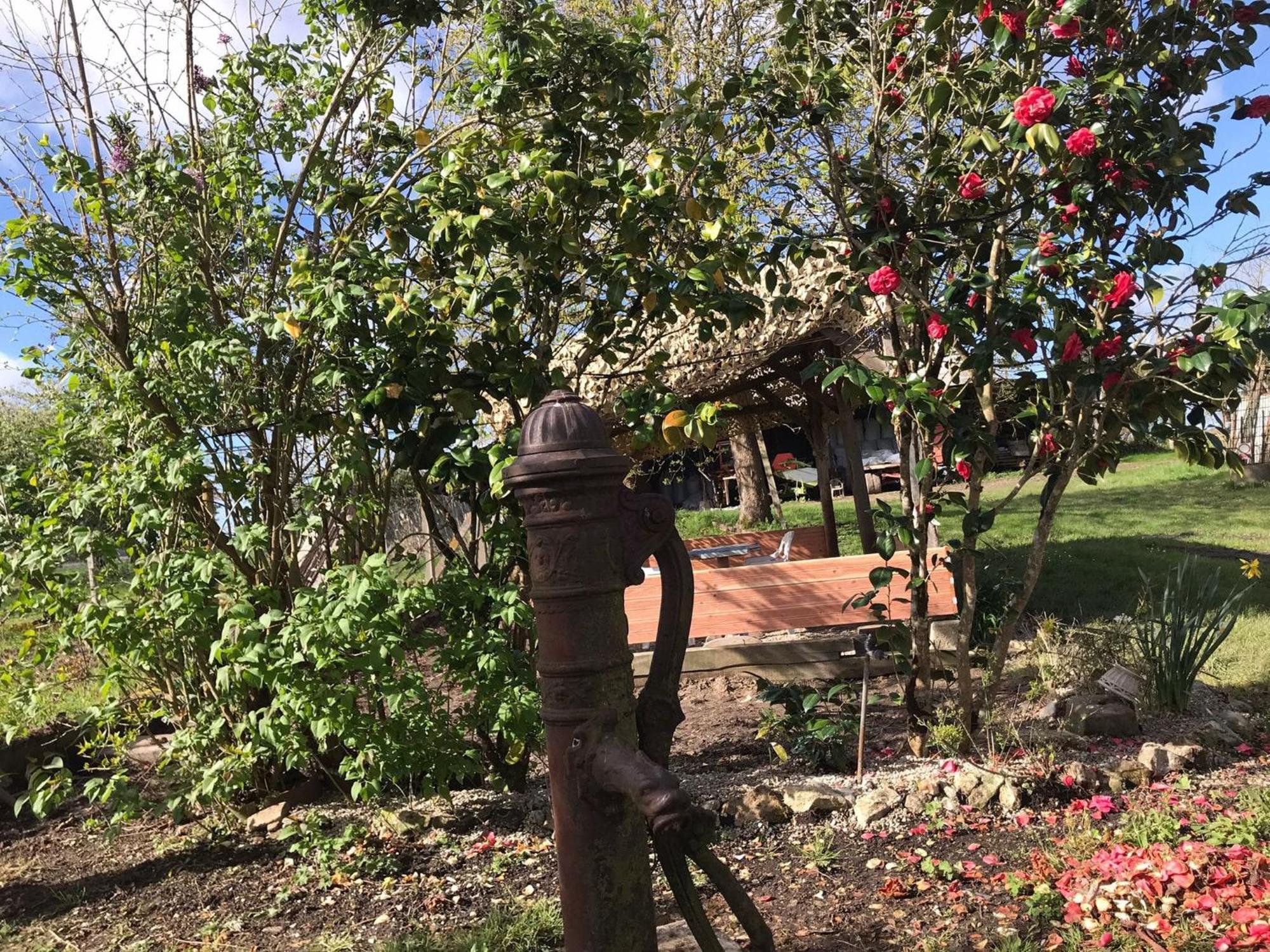 Villa Coco 9 Personnes Jardin Proche Beauval Lye エクステリア 写真